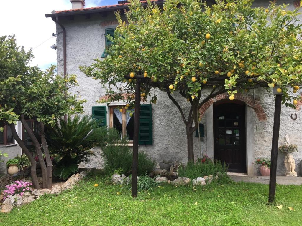Agriturismo I Lamoi Finale Ligure Zewnętrze zdjęcie